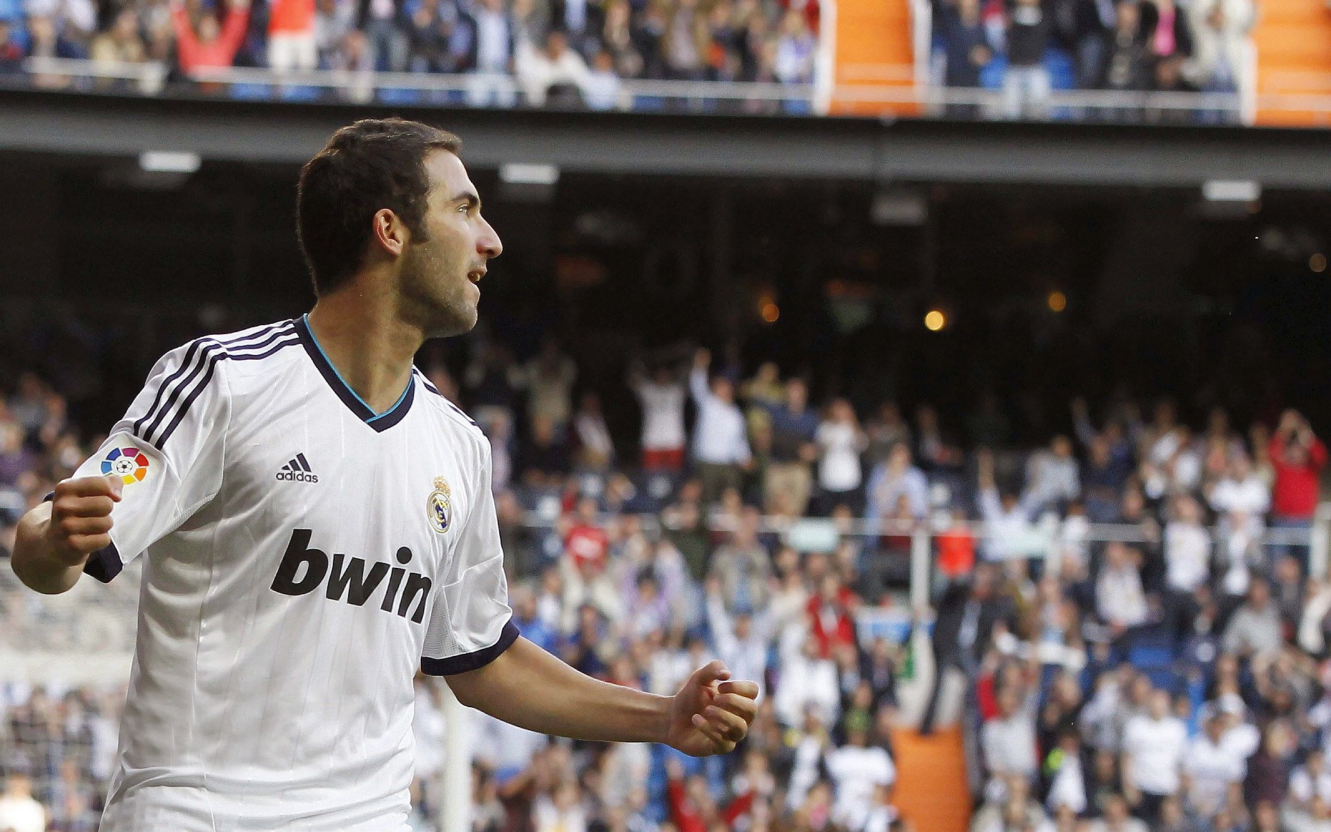 mk sport-美洲杯燃情激战：团队合作与个人奇迹的融合，美洲 杯